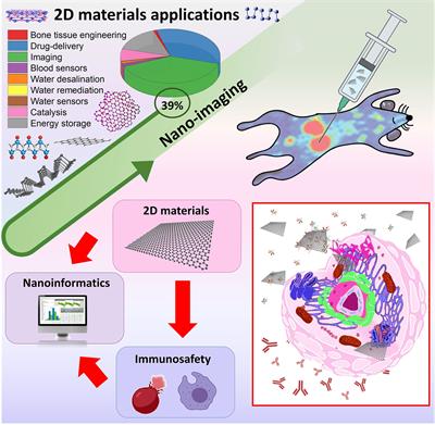 Recent Advances in Immunosafety and Nanoinformatics of Two-Dimensional Materials Applied to Nano-imaging